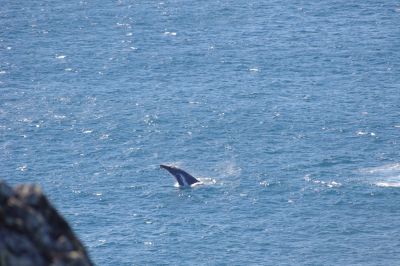 double island point 005