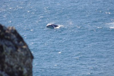 double island point 006