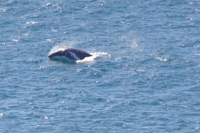 double island point 007