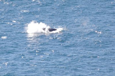 double island point 008