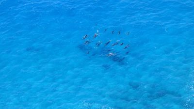 double island point 016