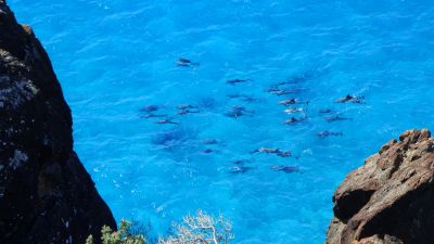 double island point 017