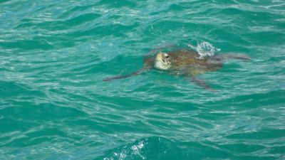 double island point 018