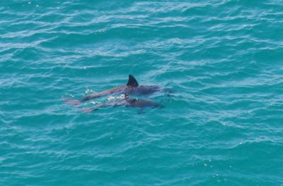 double island point 021