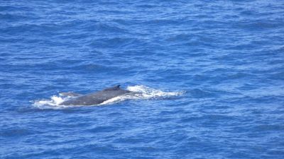 double island point 023