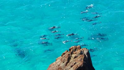 double island point 024