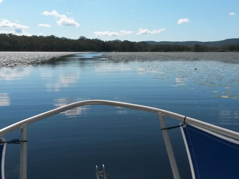 noosa everglades 003