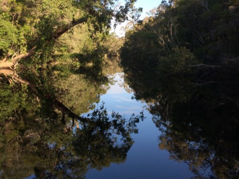 noosa everglades 005