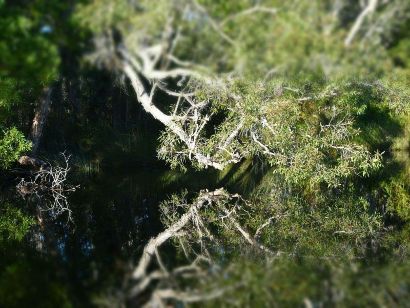 noosa everglades 007