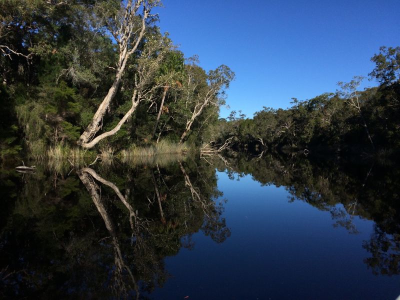 noosa everglades 010