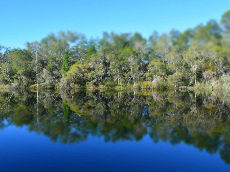 noosa everglades 011