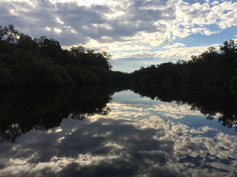 noosa everglades 016